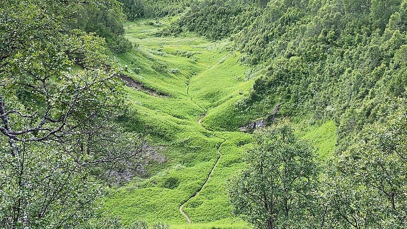  Bjurälven Blinda dalen 