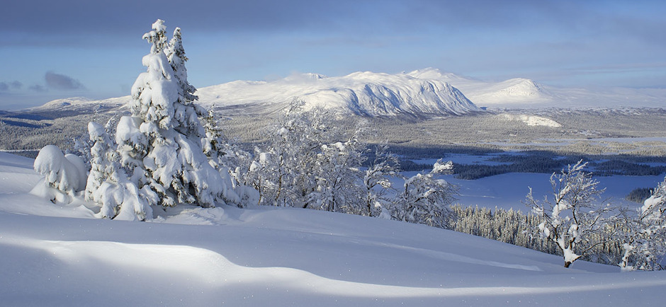 JUL I SAXNÄS