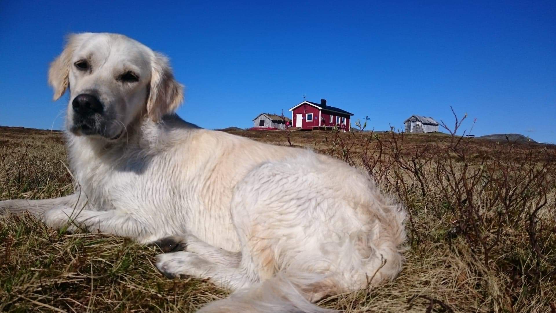 Slipsikstugan Foto: Carina Nybrand